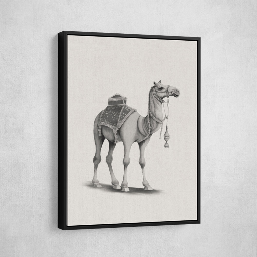 Graphic Camel Wall Art